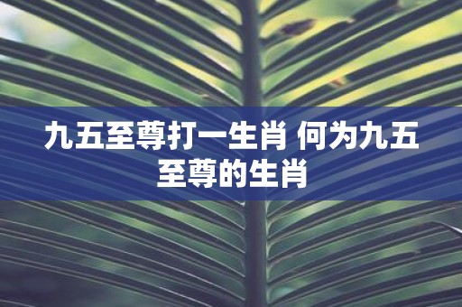 九五至尊打一生肖 何为九五至尊的生肖