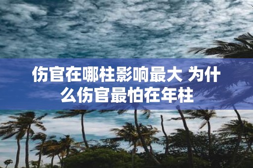 伤官在哪柱影响最大 为什么伤官最怕在年柱