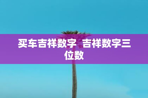 买车吉祥数字 吉祥数字三位数