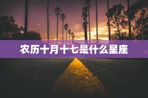 农历十月十七是什么星座