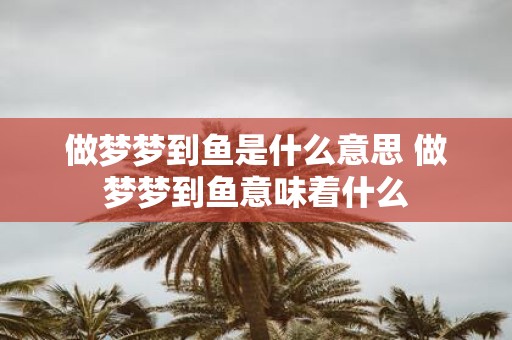 做梦梦到鱼是什么意思 做梦梦到鱼意味着什么