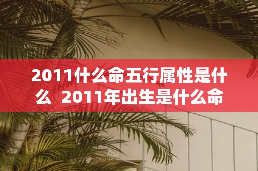 2011什么命五行属性是什么 2011年出生是什么命