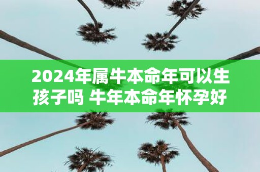 2025年属牛本命年可以生孩子吗 牛年本命年怀孕好吗