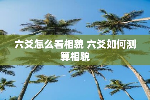 六爻怎么看相貌 六爻如何测算相貌
