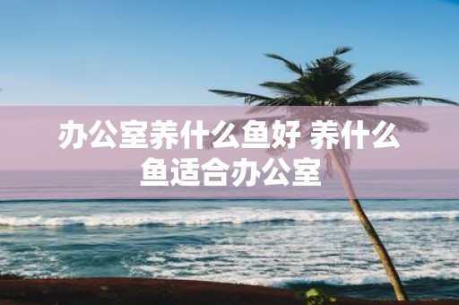 办公室养什么鱼好 养什么鱼适合办公室