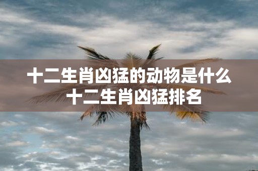 十二生肖凶猛的动物是什么 十二生肖凶猛排名