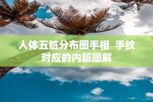 人体五脏分布图手相 手纹对应的内脏图解