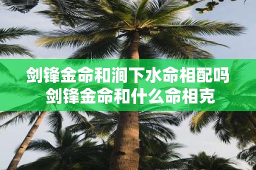 剑锋金命和涧下水命相配吗 剑锋金命和什么命相克