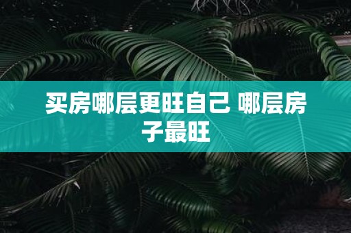 买房哪层更旺自己 哪层房子最旺