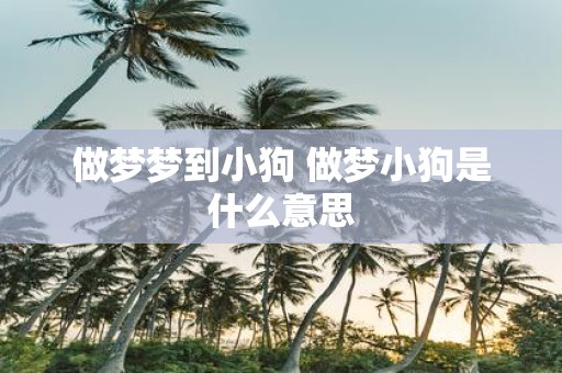 做梦梦到小狗 做梦小狗是什么意思