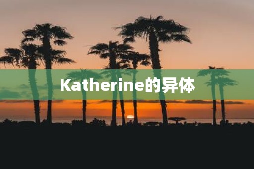 Katherine的异体