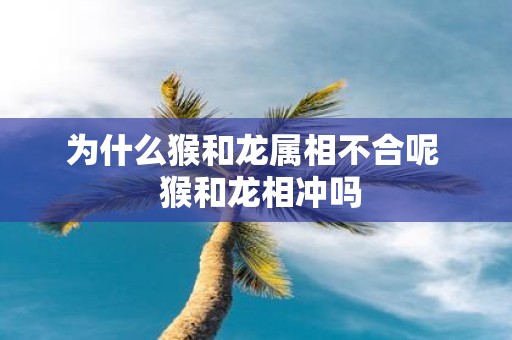 为什么猴和龙属相不合呢 猴和龙相冲吗