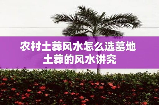农村土葬风水怎么选墓地 土葬的风水讲究