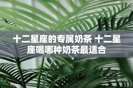 十二星座的专属奶茶 十二星座喝哪种奶茶最适合