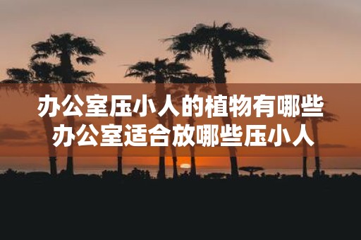 办公室压小人的植物有哪些 办公室适合放哪些压小人的植物