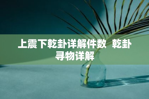 上震下乾卦详解件数 乾卦寻物详解