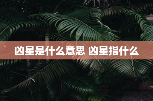 凶星是什么意思 凶星指什么