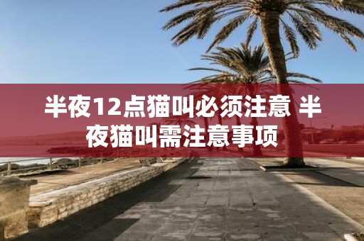 半夜12点猫叫必须注意 半夜猫叫需注意事项