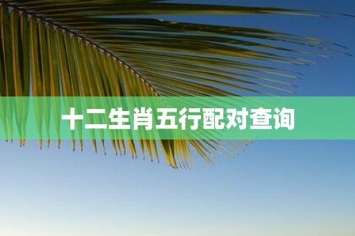 十二生肖五行配对查询