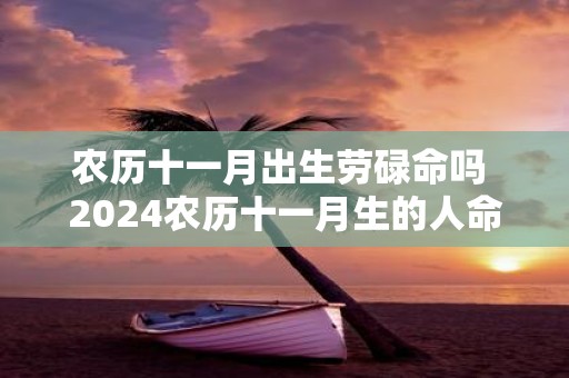 农历十一月出生劳碌命吗 2025农历十一月生的人命运如何