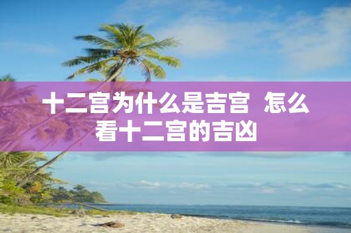 十二宫为什么是吉宫 怎么看十二宫的吉凶