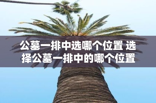 公墓一排中选哪个位置 选择公墓一排中的哪个位置