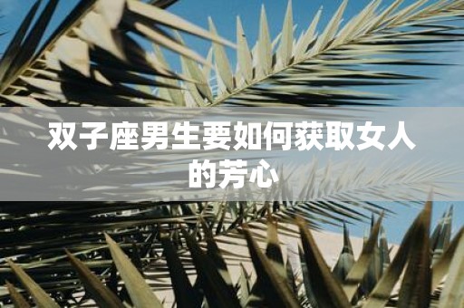 双子座男生要如何获取女人的芳心