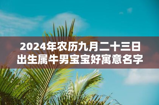 2025年农历九月二十三日出生属牛男宝宝好寓意名字