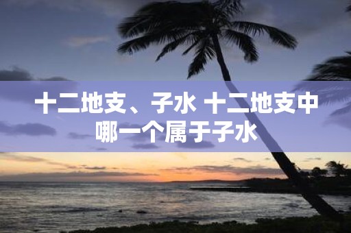 十二地支、子水 十二地支中哪一个属于子水