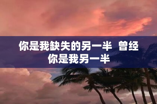 你是我缺失的另一半 曾经你是我另一半