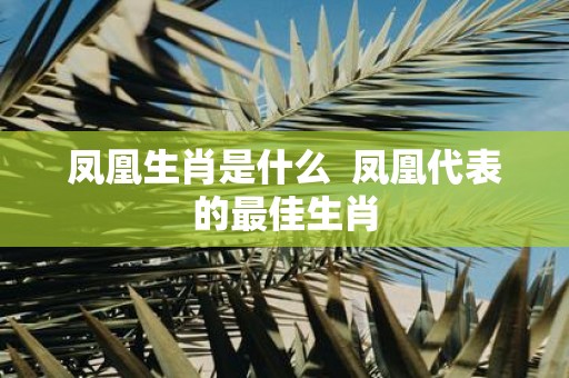 凤凰生肖是什么 凤凰代表的最佳生肖