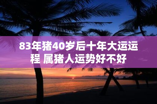 83年猪40岁后十年大运运程 属猪人运势好不好