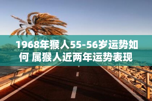 1968年猴人55-56岁运势如何 属猴人近两年运势表现