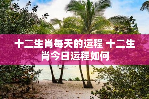 十二生肖每天的运程 十二生肖今日运程如何