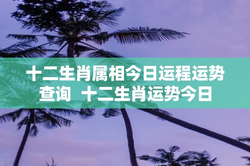 十二生肖属相今日运程运势查询 十二生肖运势今日