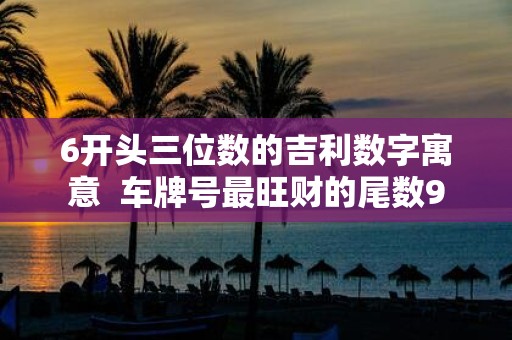 6开头三位数的吉利数字寓意 车牌号最旺财的尾数9