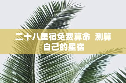 二十八星宿免费算命 测算自己的星宿