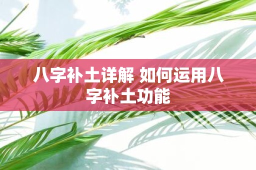 八字补土详解 如何运用八字补土功能