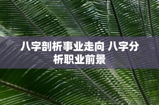 八字剖析事业走向 八字分析职业前景