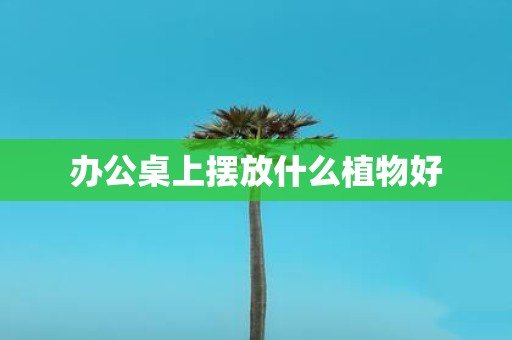 办公桌上摆放什么植物好