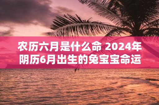 农历六月是什么命 2025年阴历6月出生的兔宝宝命运详解