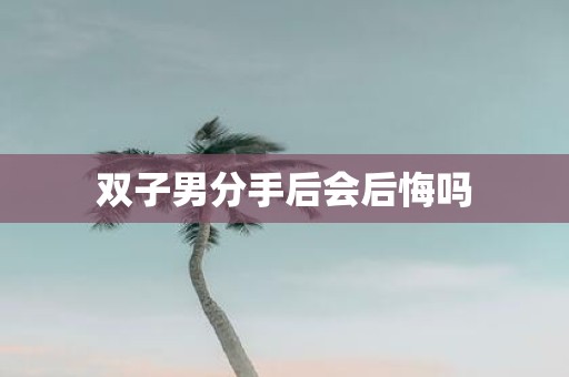 双子男分手后会后悔吗