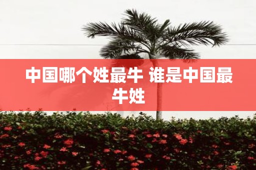 中国哪个姓最牛 谁是中国最牛姓
