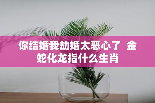 你结婚我劫婚太恶心了 金蛇化龙指什么生肖