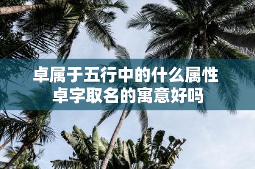 卓属于五行中的什么属性 卓字取名的寓意好吗