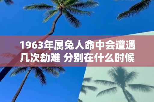 1963年属兔人命中会遭遇几次劫难 分别在什么时候