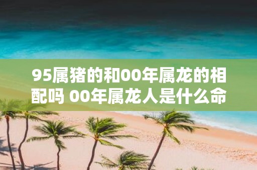 95属猪的和00年属龙的相配吗 00年属龙人是什么命