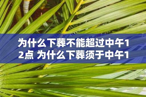为什么下葬不能超过中午12点 为什么下葬须于中午12点前完成