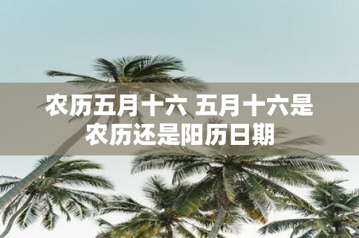 农历五月十六 五月十六是农历还是阳历日期