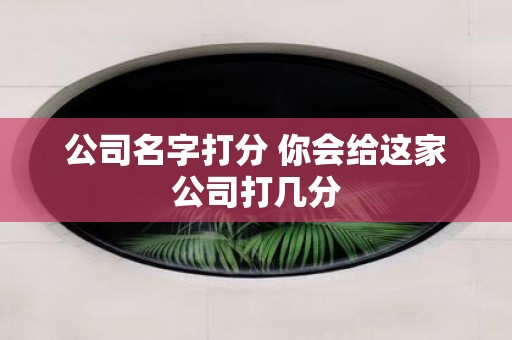公司名字打分 你会给这家公司打几分